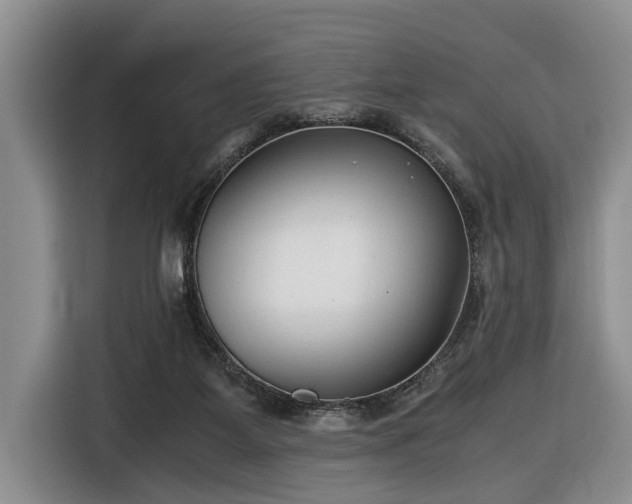 X0000116660115200912211515