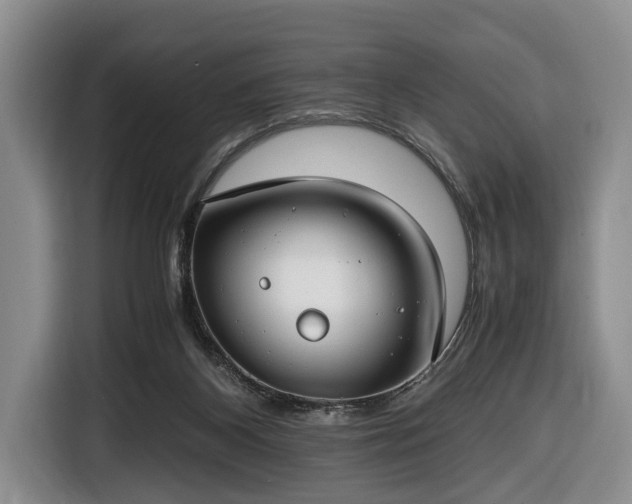 X0000116660116200912211515