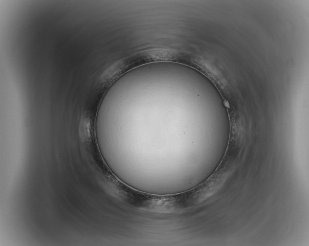 X0000116660117200912211515