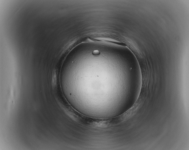 X0000116660120200912211515