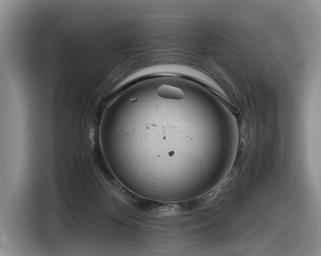 X0000116660124200912211515