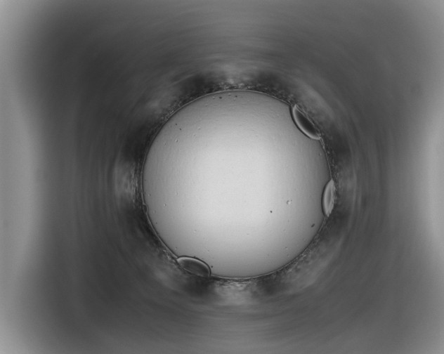 X0000116660129200912211515