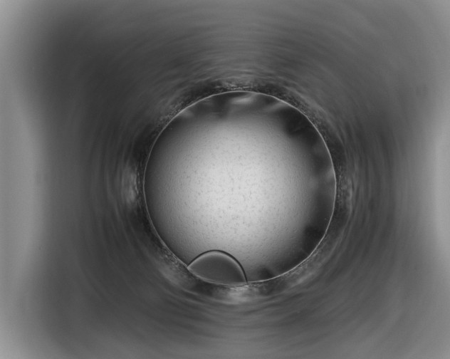 X0000116660130200912211515