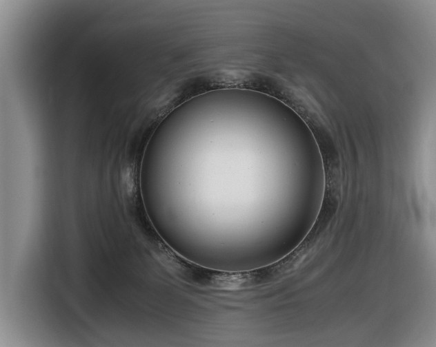 X0000116660131200912211515