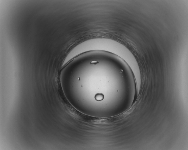 X0000116660132200912211515