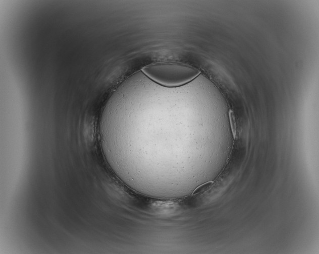 X0000116660133200912211515