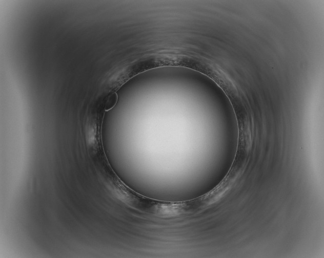 X0000116660134200912211515