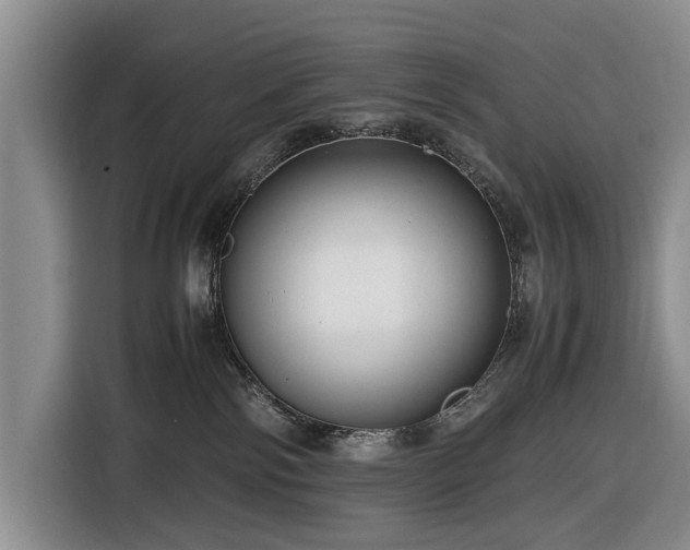 X0000116660138200912211515