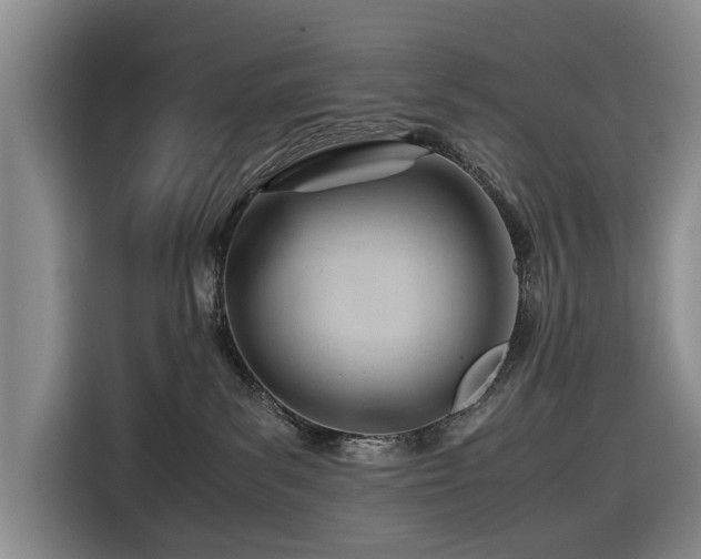 X0000116660139200912211515