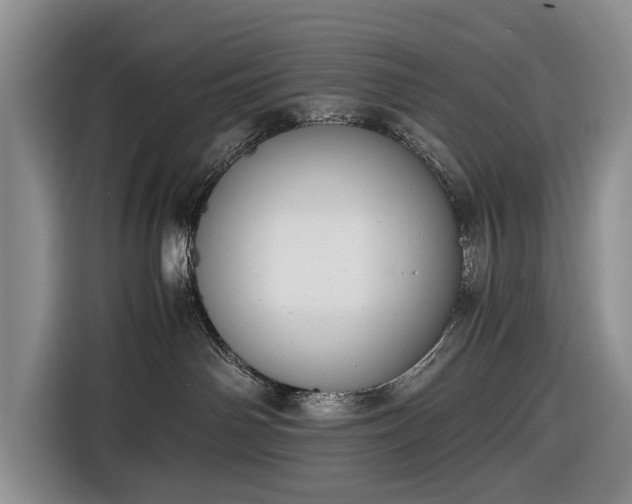 X0000116660142200912211515