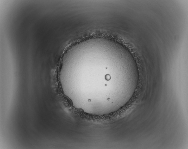 X0000116660144200912211514