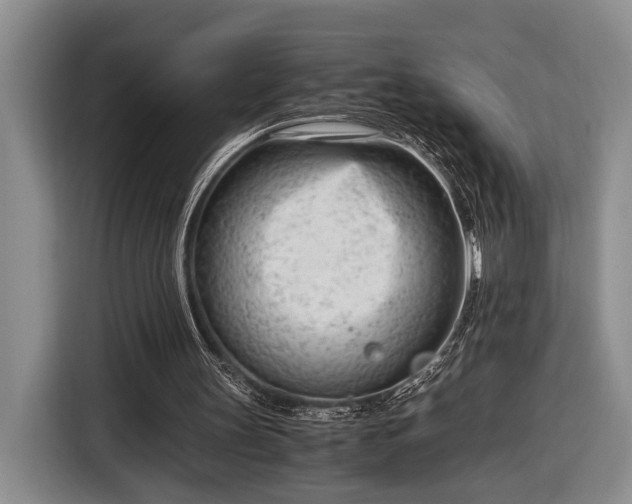 X0000116660147200912211514