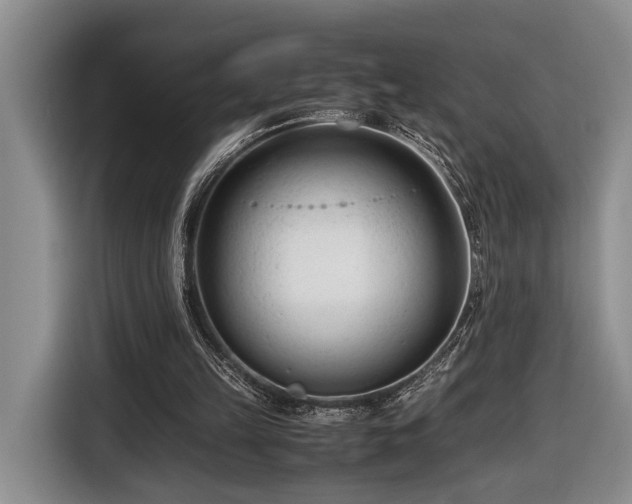 X0000116660149200912211514