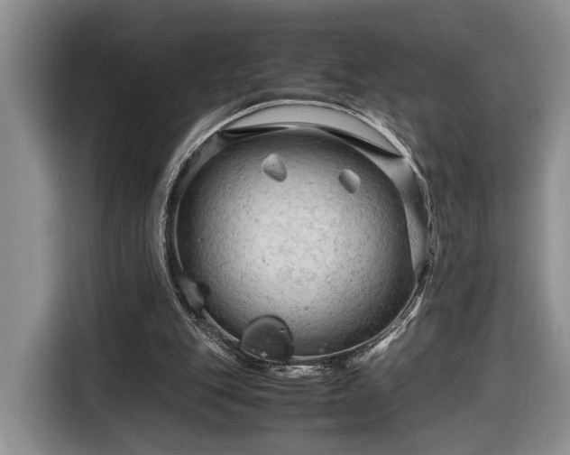 X0000116660151200912211514