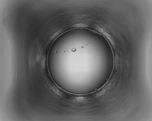 X0000116660153200912211514