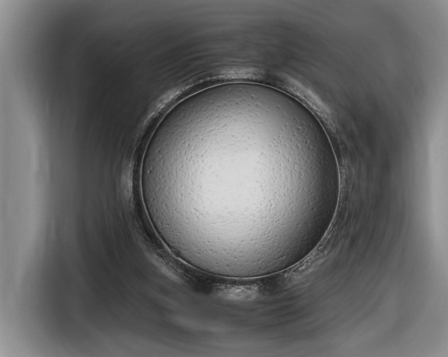 X0000116660155200912211514