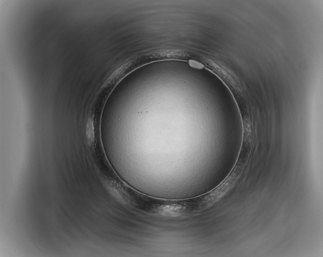 X0000116660158200912211514