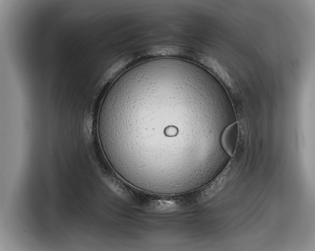 X0000116660159200912211514