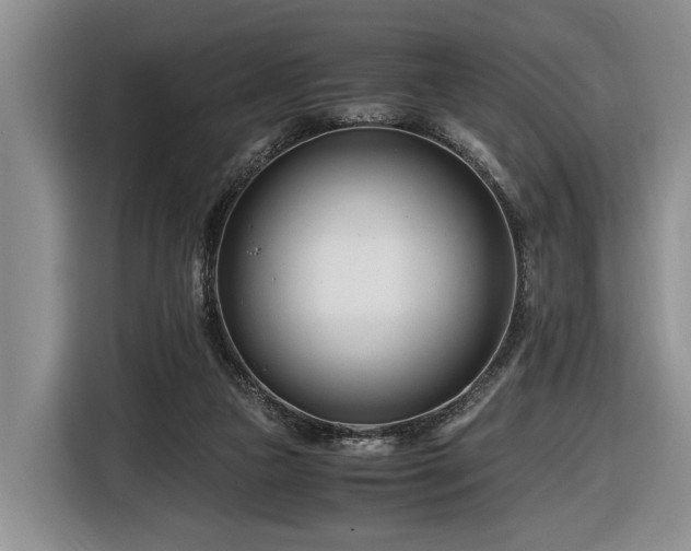 X0000116660161200912211514