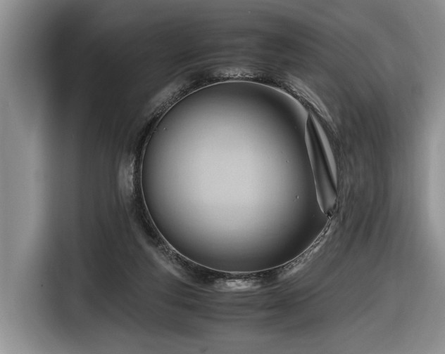 X0000116660163200912211514