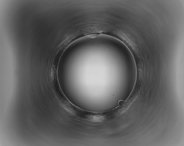 X0000116660165200912211514