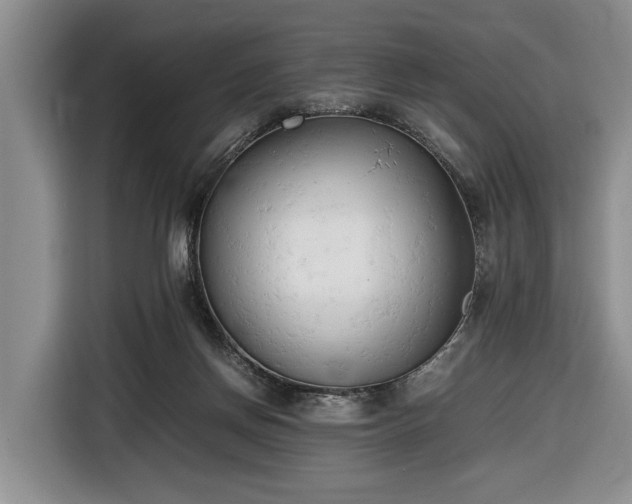 X0000116660166200912211514