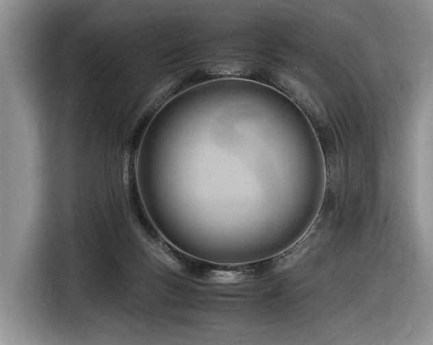 X0000116660167200912211514