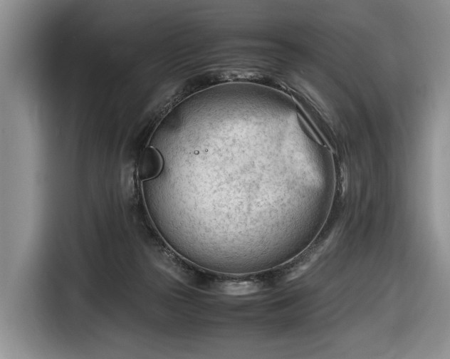 X0000116660169200912211514