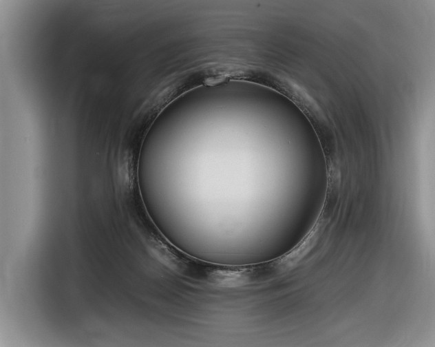 X0000116660170200912211514