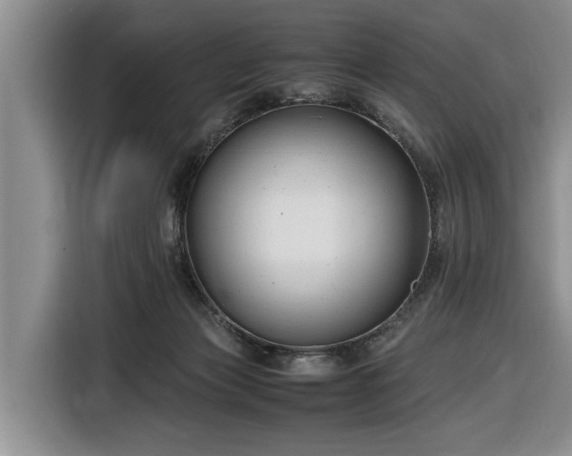 X0000116660173200912211514