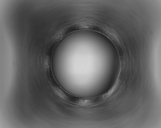 X0000116660174200912211514