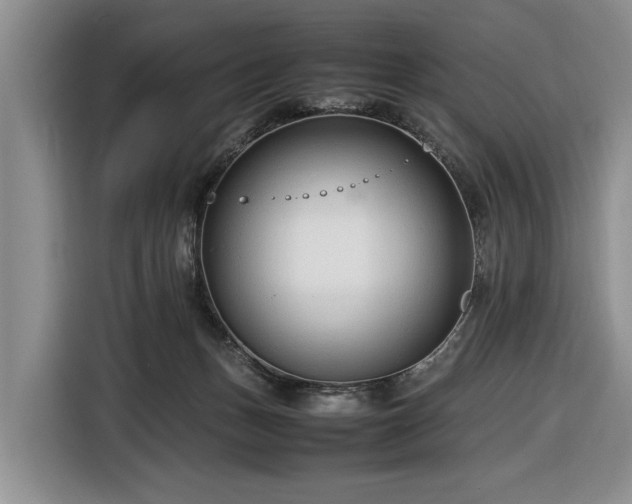 X0000116660175200912211514