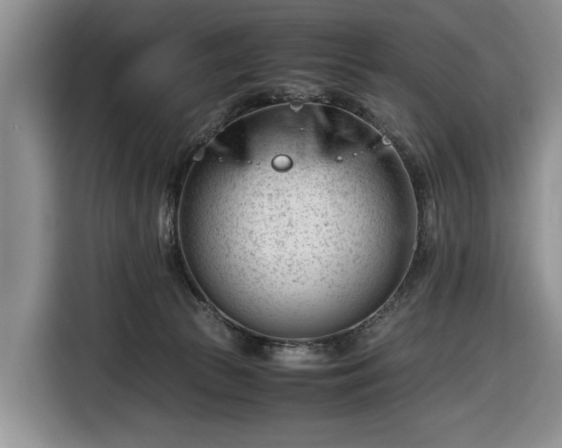 X0000116660177200912211514