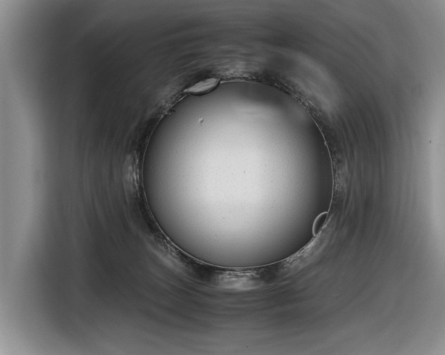 X0000116660179200912211514