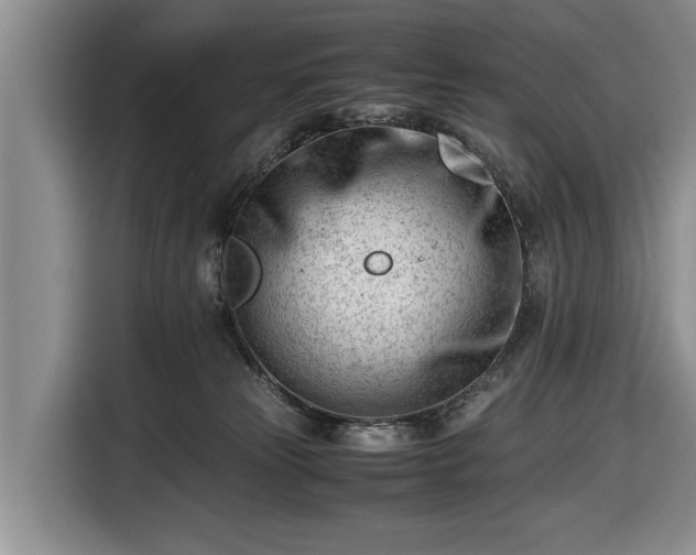 X0000116660181200912211514