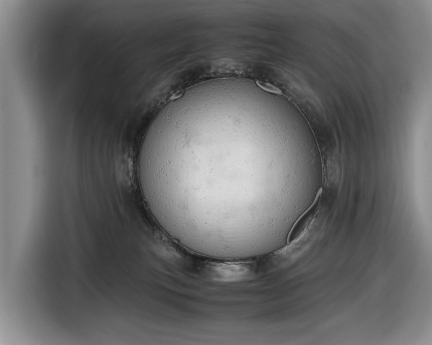 X0000116660183200912211514