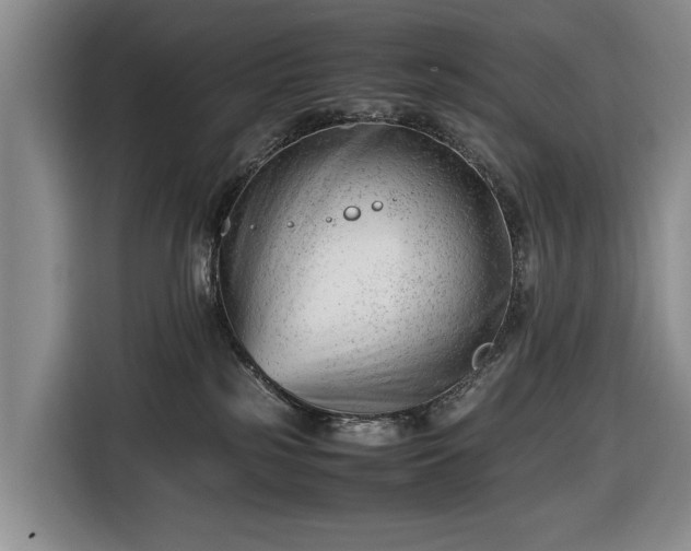 X0000116660185200912211514