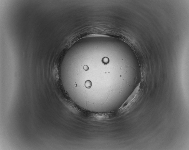 X0000116660187200912211514