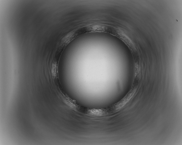 X0000116660189200912211514