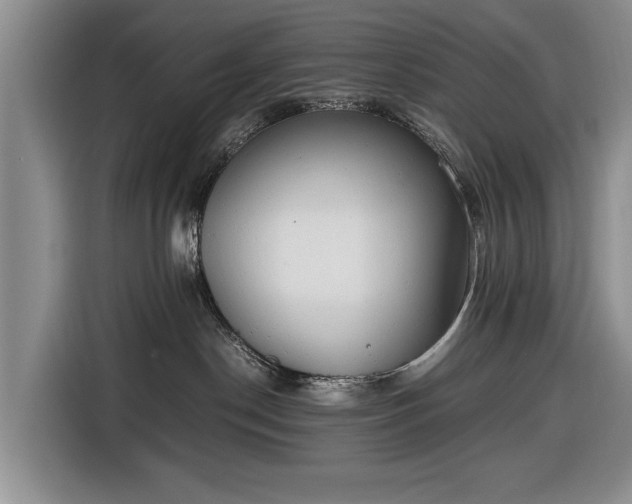 X0000116660190200912211514