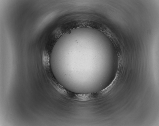 X0000116660191200912211514