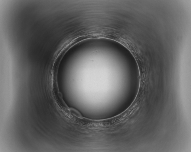 X0000116660194200912211514