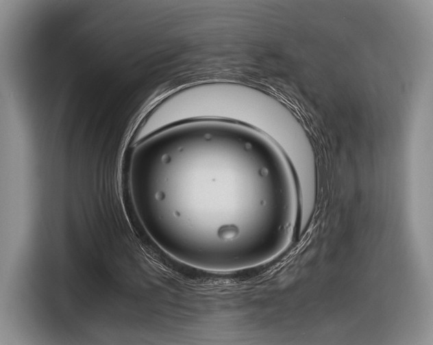 X0000116660195200912211514