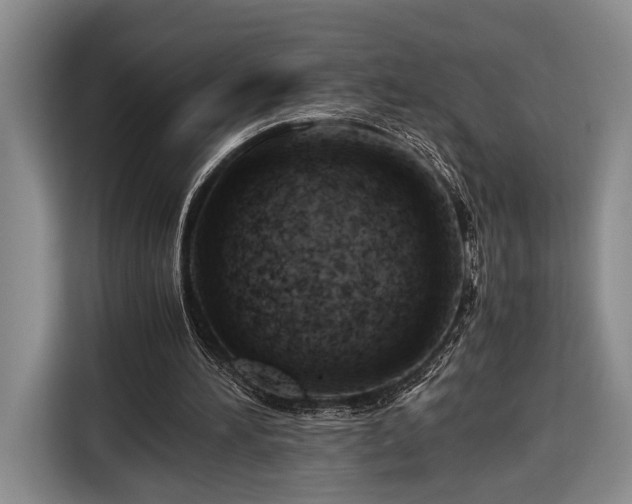 X0000116660196200912211514