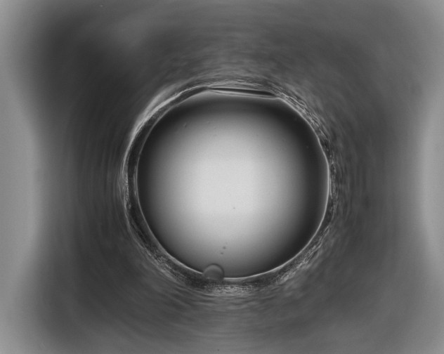 X0000116660198200912211514