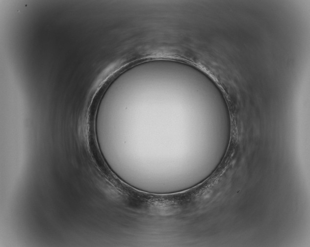 X0000116660199200912211514