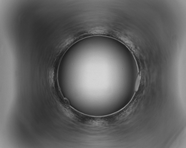 X0000116660201200912211514