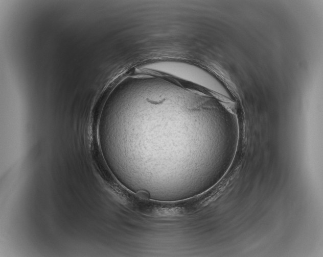 X0000116660202200912211514