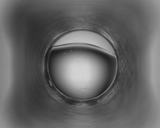 X0000116660203200912211514