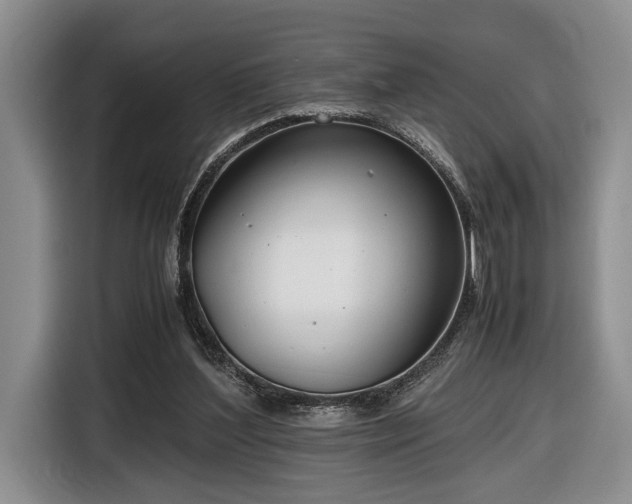 X0000116660204200912211514